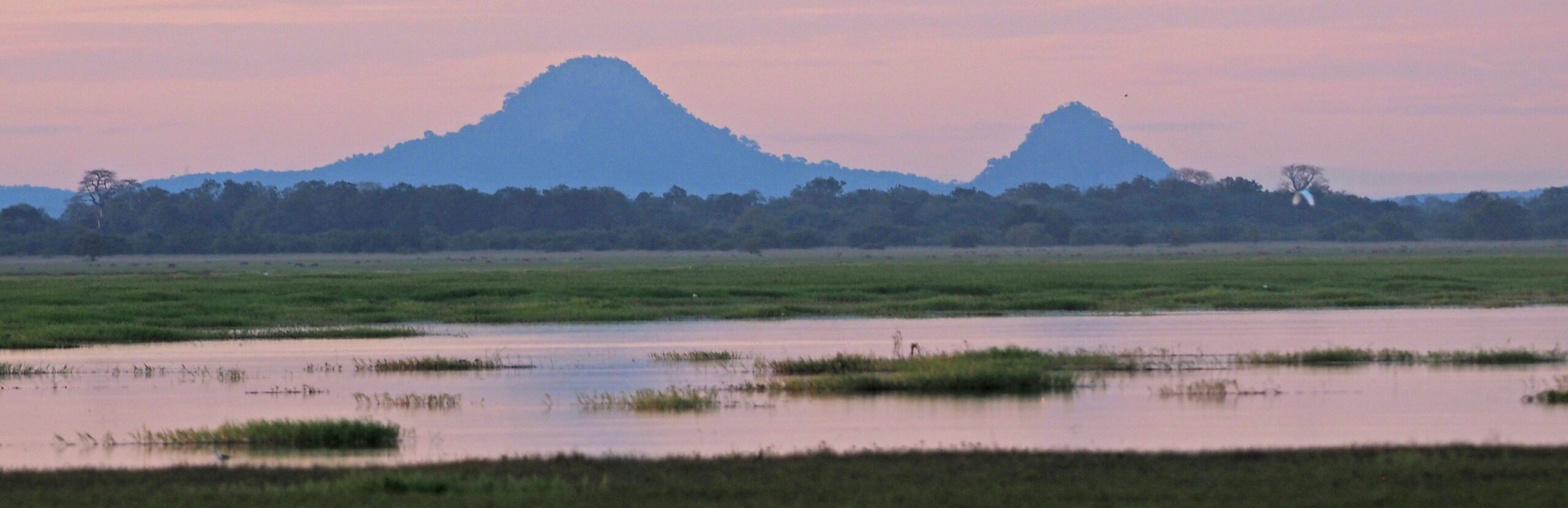 A Lenda do Espírito da Monte Gorongosa